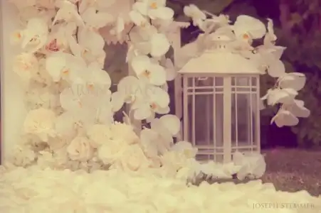 $White-orchids-wedding.webp