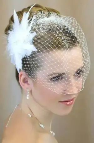 $birdcageveil.webp $birdcageveil.webp