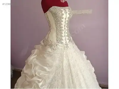 $123665328ci7.webp