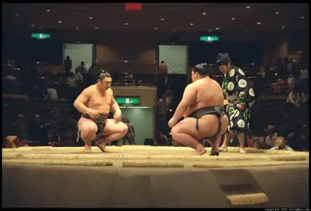 $sumo-competition-105-4[1].webp