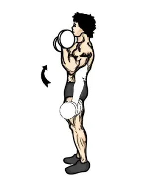 $standing-dumbbell-curls.webp