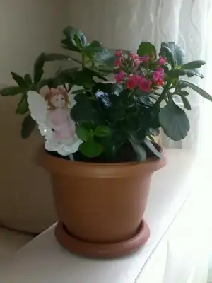 $&#199;&#304;&#199;E&#286;&#304;M 1.webp