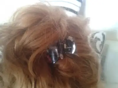 $2013-06-02 16.04.16.webp