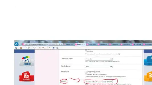 $&#231;izelge3.webp