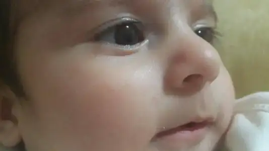 $21087_10201132090815417_2056638598_n.webp