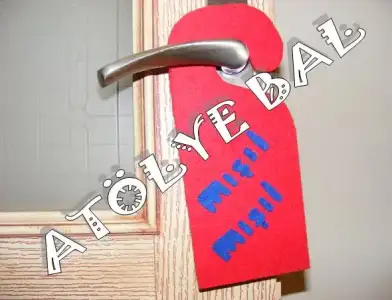 $mÃ½Ã¾Ã½l.webp