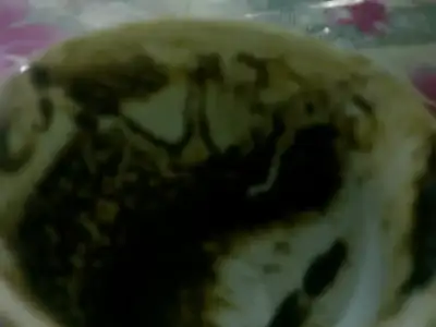 $19062013365.webp