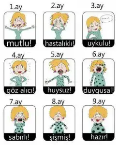 $hamilelik-evreleri-_n-244x300.webp