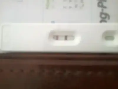 $21062013179.webp