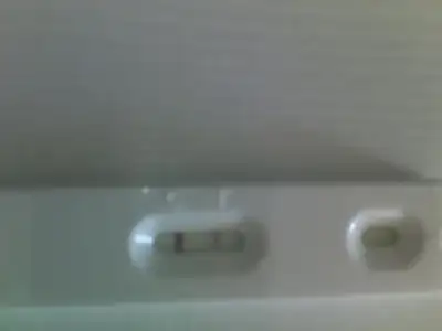 $19062013019.webp