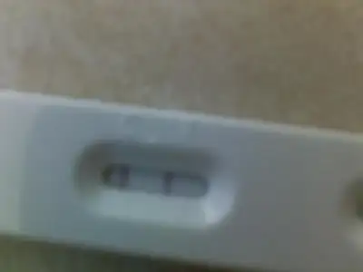 $21062013022.webp