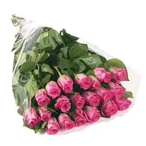 $20_pink_rose_gift_wrap.webp