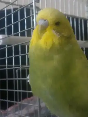 $2013-02-21-505.webp