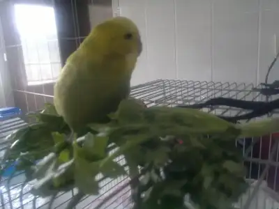 $2013-04-15-594.webp