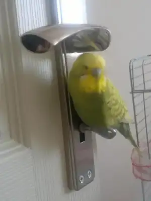 $2013-04-22-596.webp
