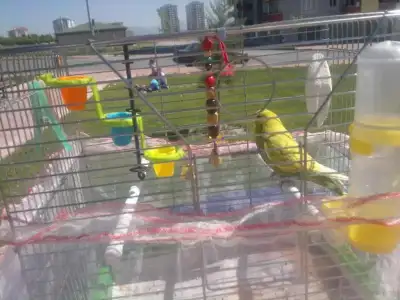 $2013-04-27-621.webp