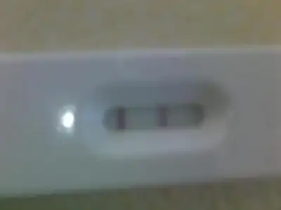 $23062013024.webp