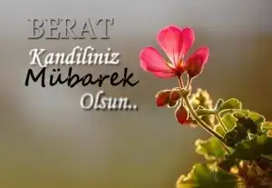 $16d29d07d90eee0b8c0c6a72b08e944b.webp