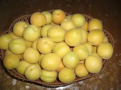 $P1180739.webp