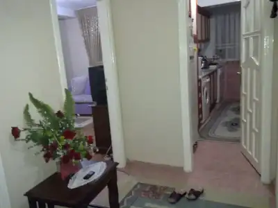 $18012011105.webp