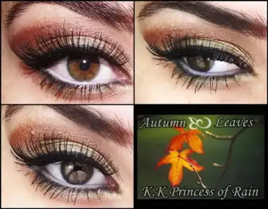 $autumn laeves.webp