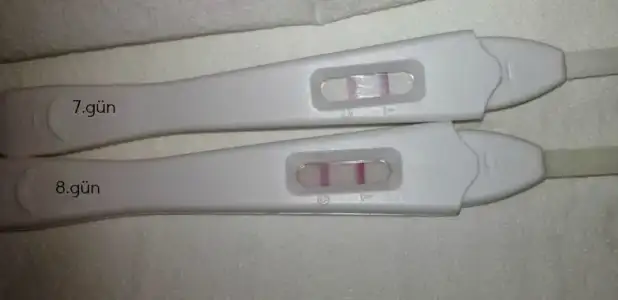 $testtttt.webp