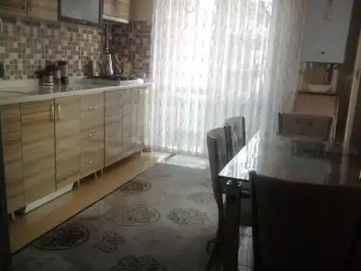 $73127_10151574728984628_1211767453_n.webp