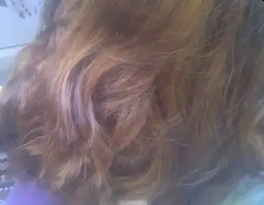 $PicsArt_1372568188405.webp $PicsArt_1372568188405.webp