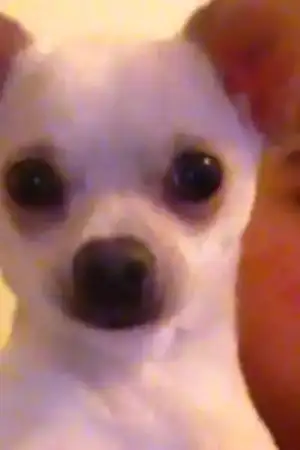 $genel resim 092.webp