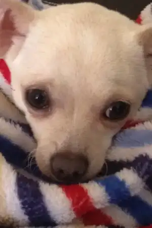 $genel resim 027.webp