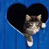 $1010504_288499337962198_1610168116_n.webp $1010504_288499337962198_1610168116_n.webp