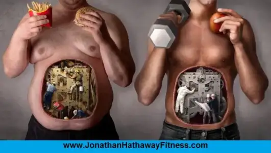 $Eating-machine-inside.webp $Eating-machine-inside.webp