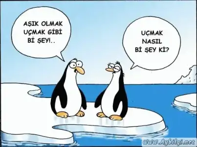 $ask-sevgi-karikatur-resimleri-0002.webp