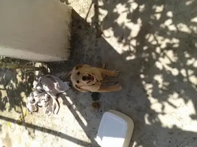 $2013-07-05 11.40.38.webp $2013-07-05 11.40.38.webp