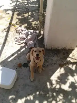 $2013-07-05 11.40.49.webp