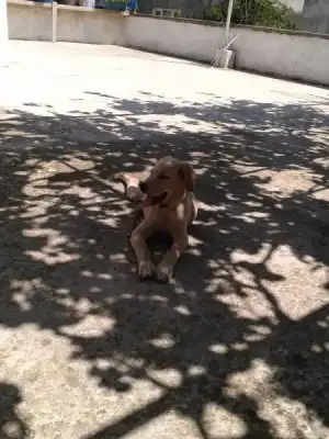 $2013-07-05 11.44.33.webp $2013-07-05 11.44.33.webp