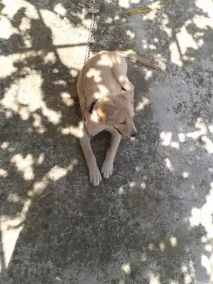 $2013-07-05 11.48.01.webp $2013-07-05 11.48.01.webp