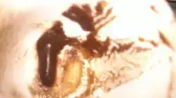 $2013-07-07-0564[1].webp