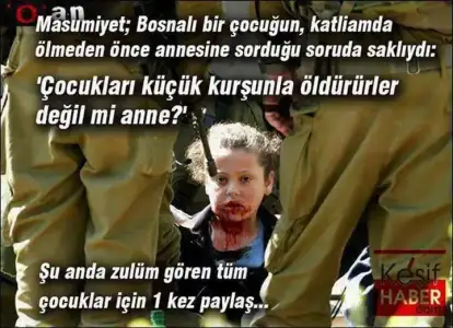 $bosna.webp
