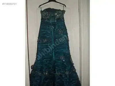 $118083731xsx.webp