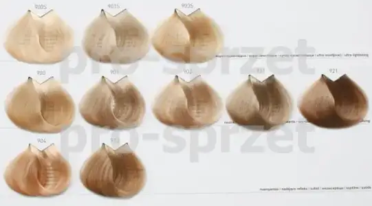 $1637_1.webp