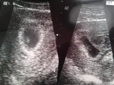 $2013-07-18 12.32.19.webp $2013-07-18 12.32.19.webp