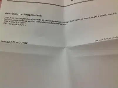 $image.webp $image.webp