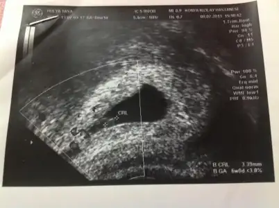 $image.webp $image.webp