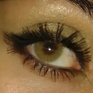 $h&#305;drocor mel3.webp