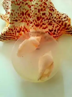 $IMG-20130704-WA0069.webp