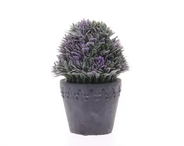 $9841_buyuk_zoom.webp