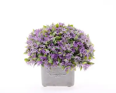 $9849_buyuk_zoom.webp