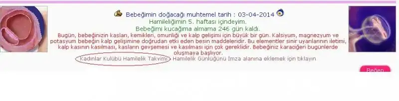$ads&#305;z.webp