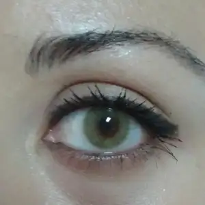 $h&#305;drocor mel2 (1).webp